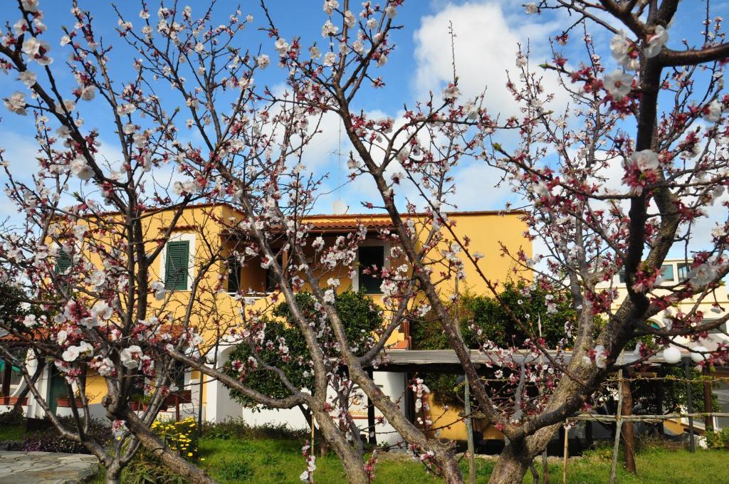 Hotel La Marticana Ίσκια Εξωτερικό φωτογραφία